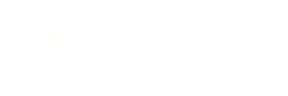 ASP Finserve Grey Logo